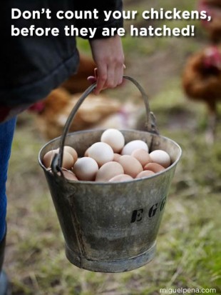 eggs