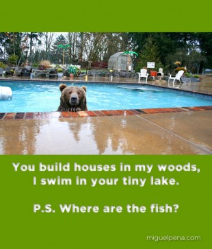 You build houses in my woods